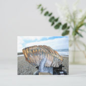 mammtand in alaska 09 briefkaart (Staand voorkant)