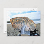 mammtand in alaska 09 briefkaart (Voorkant / Achterkant)