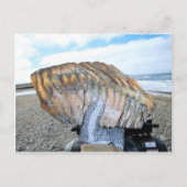 mammtand in alaska 09 briefkaart (Voorkant)