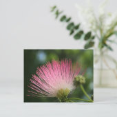 Mamosa Briefkaart (Staand voorkant)