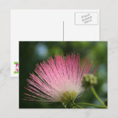 Mamosa Briefkaart (Voorkant / Achterkant)