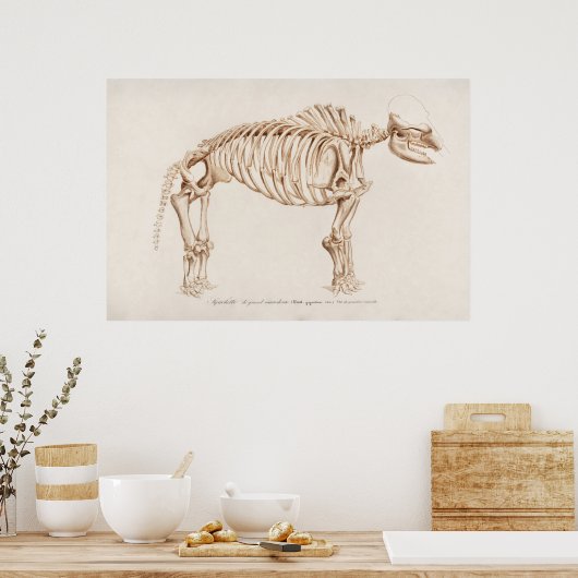  mamoth-illustratie poster (Keuken)