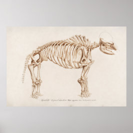  mamoth-illustratie poster