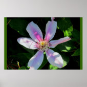 Mam's Bloertuin Poster (Voorkant)