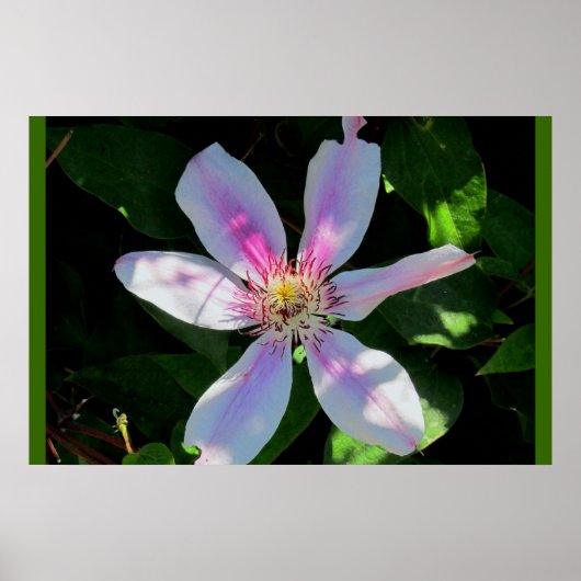 Mam's Bloertuin Poster (Voorkant)