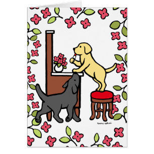 Mam's gele lab en Black Lab Puppy Duo