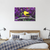 Man, American Goldfinch in zomersplumage, Canvas Afdruk (Insitu (Slaapkamer))