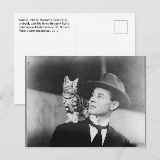 Man and cat black and white postcard briefkaart (Voorkant / Achterkant)