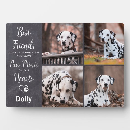 Man Beste vriendinnetje Foto van Dog Pet Memorial Fotoplaat (voorkant)
