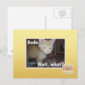 Man Briefkaart (Voorkant / Achterkant)