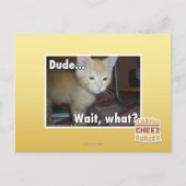 Man Briefkaart (Voorkant)