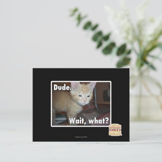 Man Briefkaart (Staand voorkant)