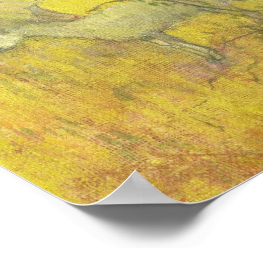 Man dat vruchten plukt van een boom, 1897 poster (Hoek)