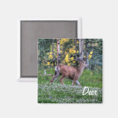 Man Deer (Buck) en Clover Wildlife Animal Magneet (Voorkant / Achterkant)