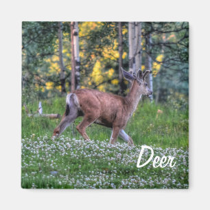 Man Deer (Buck) en Clover Wildlife Animal Magneet