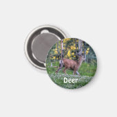 Man Deer (Buck) en Clover Wildlife Animal Magneet (Voorkant / Achterkant)