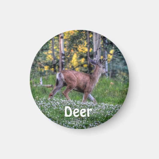 Man Deer (Buck) en Clover Wildlife Animal Magneet (Voorkant)