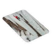 Man die ijs beklimt, Colorado Magneet (Rechterzijde)