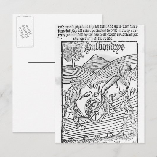 Man Een veld ploegen Briefkaart (Voorkant / Achterkant)