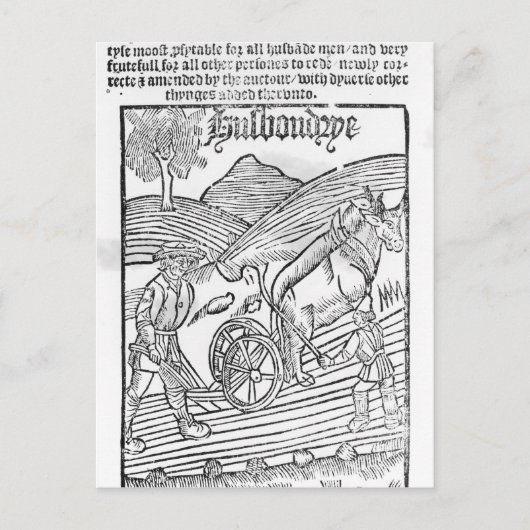 Man Een veld ploegen Briefkaart (Voorkant)