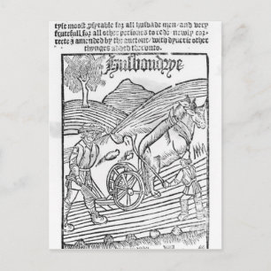 Man Een veld ploegen Briefkaart
