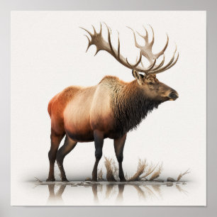 Man-Eland Poster