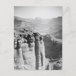 Man en Donkey in Grand Canyon Briefkaart