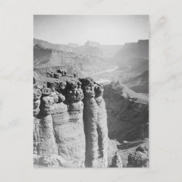 Man en Donkey in Grand Canyon Briefkaart