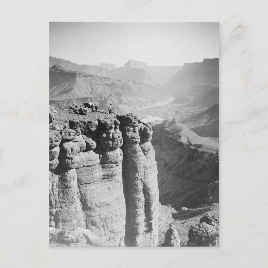 Man en Donkey in Grand Canyon Briefkaart (Voorkant)