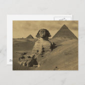 Man en Kamelen op de Poot van de Sfinx, Piramides Briefkaart (Voorkant / Achterkant)