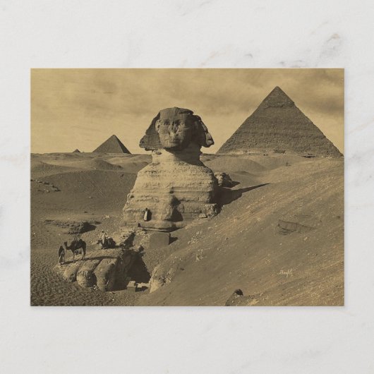 Man en Kamelen op de Poot van de Sfinx, Piramides Briefkaart (Voorkant)