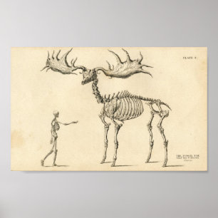 Man en losse Vintage Poster