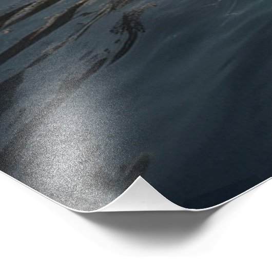 *~* Man Gevist Stream Natuur AP49 Pine Foto Afdruk (Hoek)