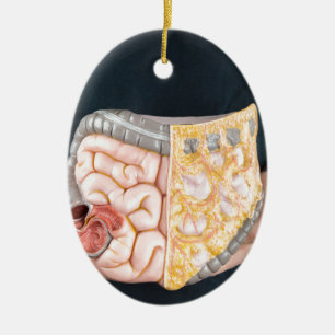 Man-houderijmodel voor darmen of darmen keramisch ornament