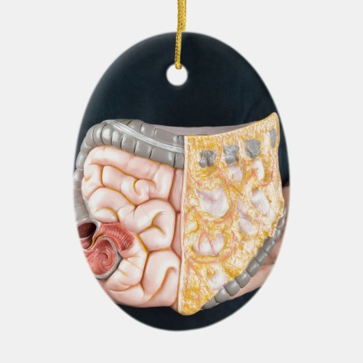 Man-houderijmodel voor darmen of darmen keramisch ornament (Voorkant)