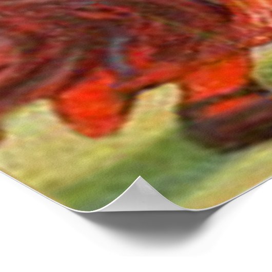 Man in de zwarte motorkap poster (Hoek)