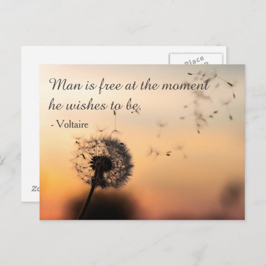 Man is Free Voltaire Quote Briefkaart (Voorkant / Achterkant)