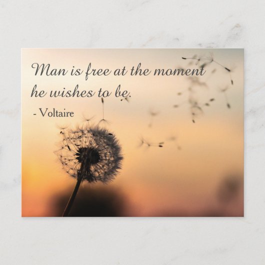 Man is Free Voltaire Quote Briefkaart (Voorkant)