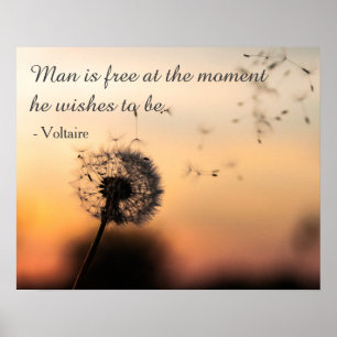 Man is gratis Voltaire Quote Poster