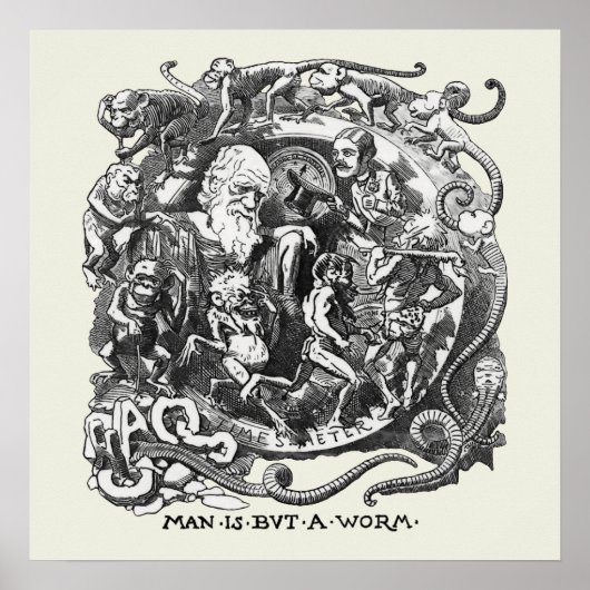 Man is maar een worm poster (Voorkant)