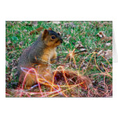 Man Jubileum Liefde Eekhoorn Sparkler (Voorkant Horizontaal)