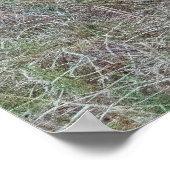 Man Lion at Dusk - African Safari Wildlife Poster (Hoek)