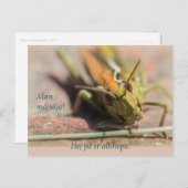 Man må säja! Gräshoppa med personlighet CC0775 Briefkaart (Voorkant / Achterkant)