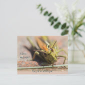 Man må säja! Gräshoppa med personlighet CC0775 Briefkaart (Staand voorkant)