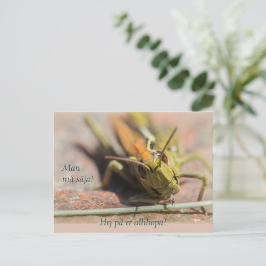 Man må säja! Gräshoppa med personlighet CC0775 Briefkaart (Staand voorkant)