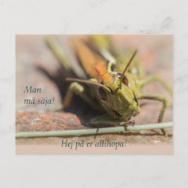 Man må säja! Gräshoppa med personlighet CC0775 Briefkaart