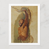 Man met een Boa Constrictor, Studie naar ' Briefkaart (Voorkant)