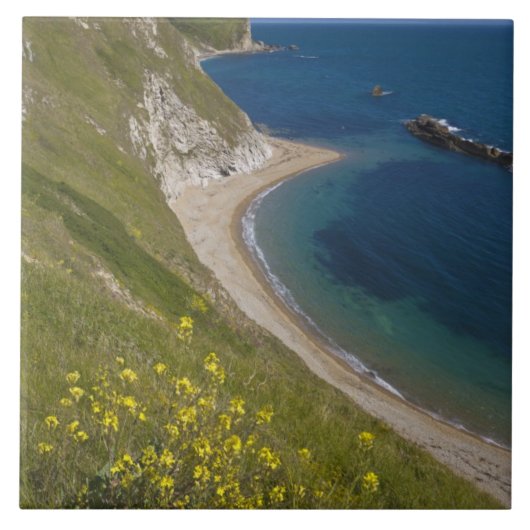 Man o' War-baai, Jurassic Coast, Lulworth, Dorset, Tegeltje (Voorkant)