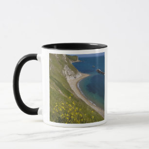 Man o War Bay, Jurassic Coast, Lulworth, Dorset, Mok
