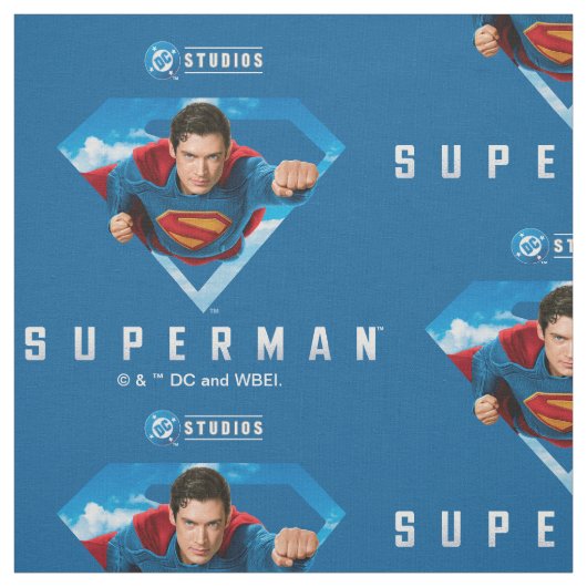 Man of Steel in Flight Stof (Swatch)